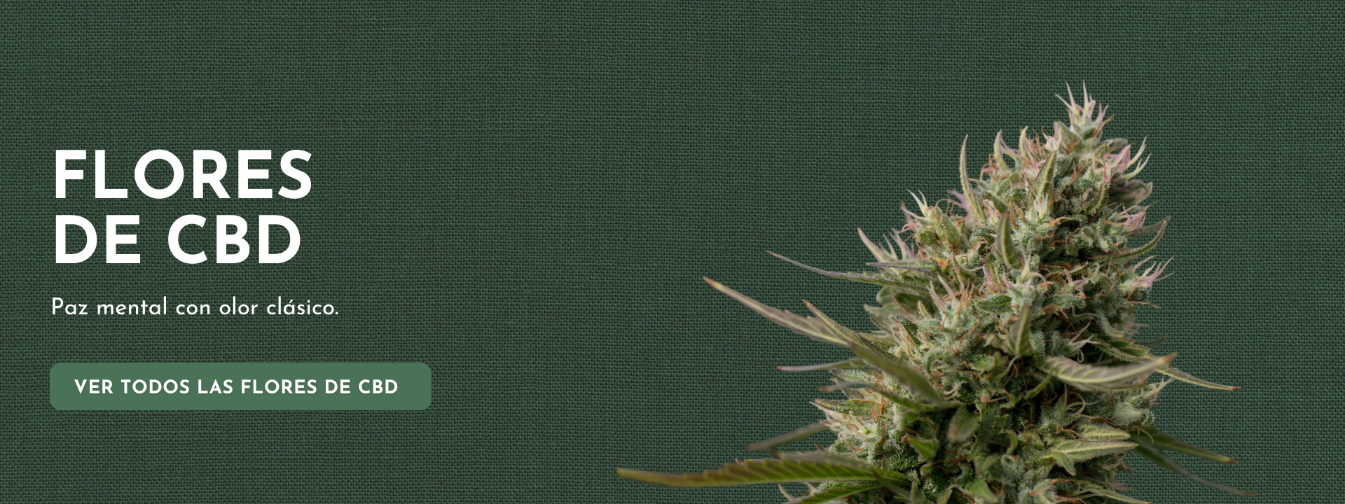 Banner de flores de CBD